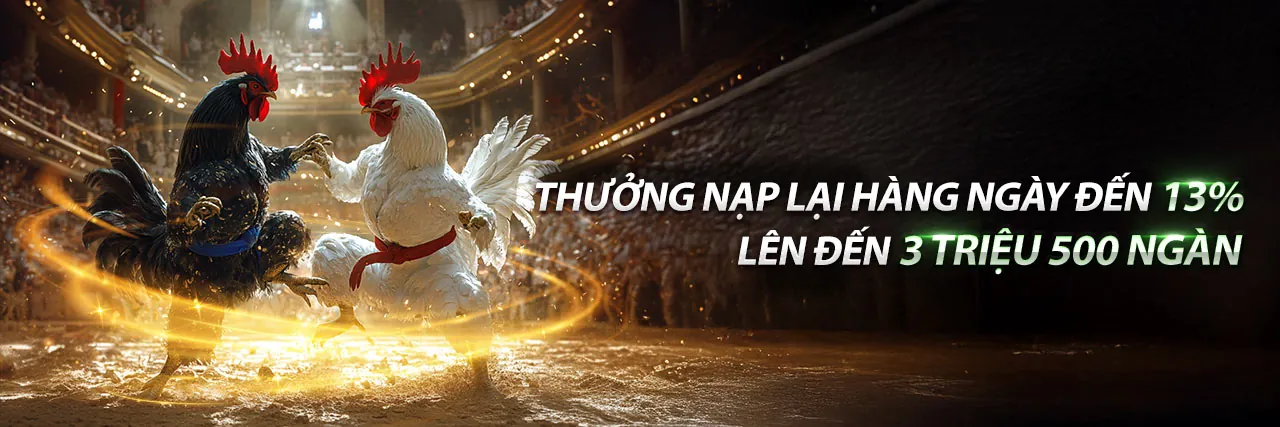 Live Stream Đá Gà Chất Lượng Cao tại AW8