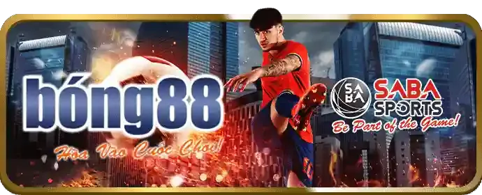 Cá cược an toàn AW8